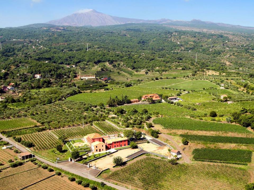 Scilio Tenuta di Valle Galfina