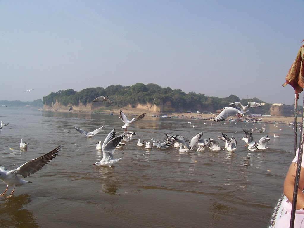 Triveni Sangam Allahabad