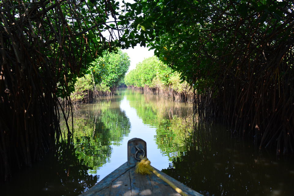 Pichavaram
