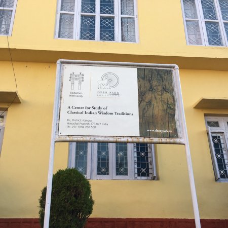 Deer Park Institute