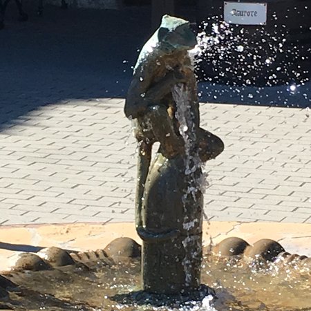 Fountain the Marmoset