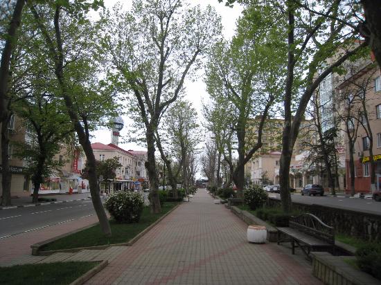 Platanovaya Alley
