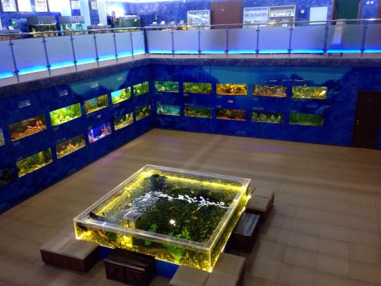 Aquarium Exhibit Hall