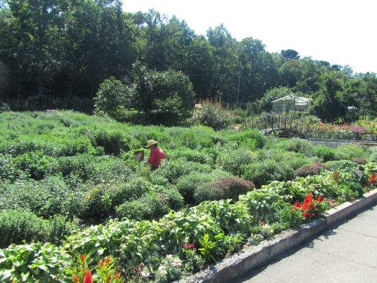 Botanical Garden-Institute