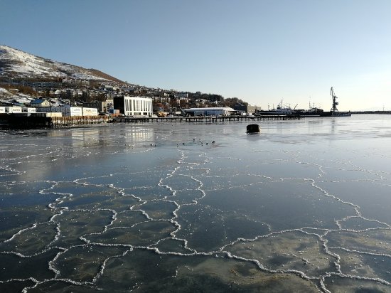 Bay Seroglazka