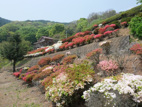 Utagaki Park