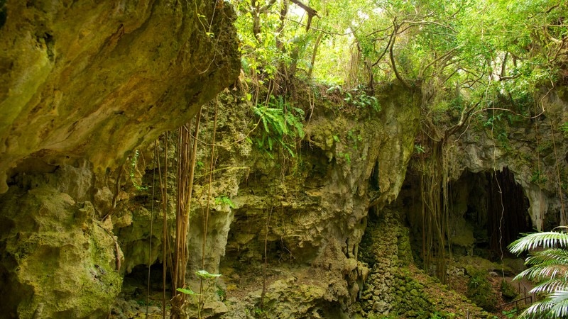 Valley of Gangala