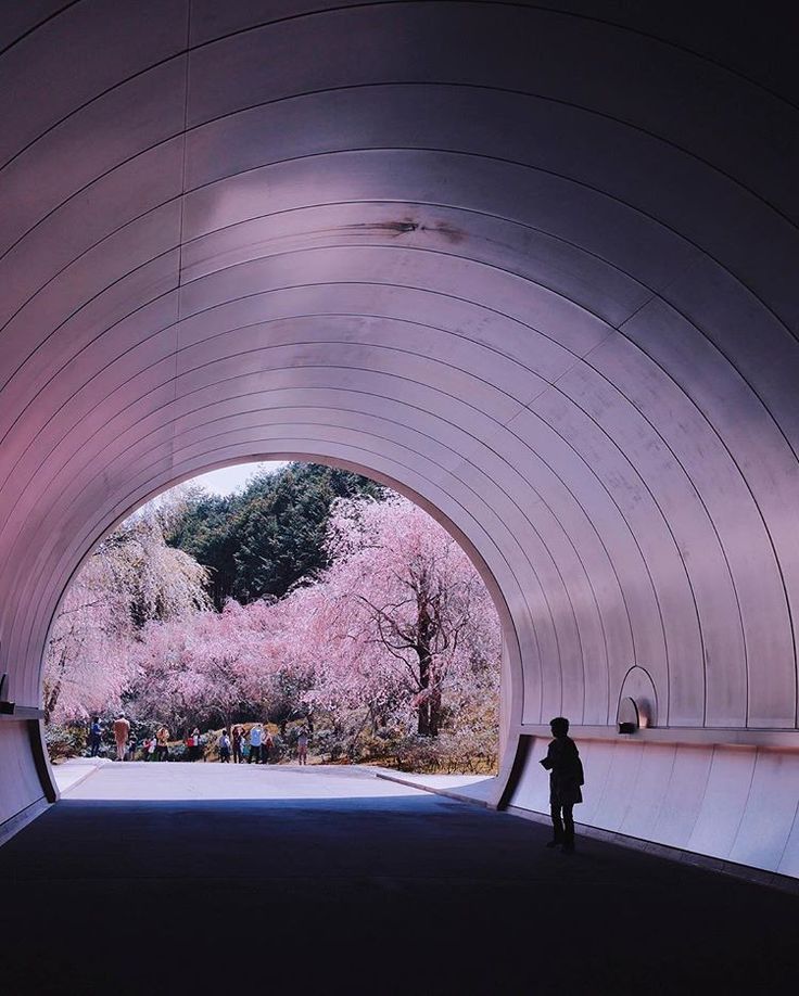 Miho Museum