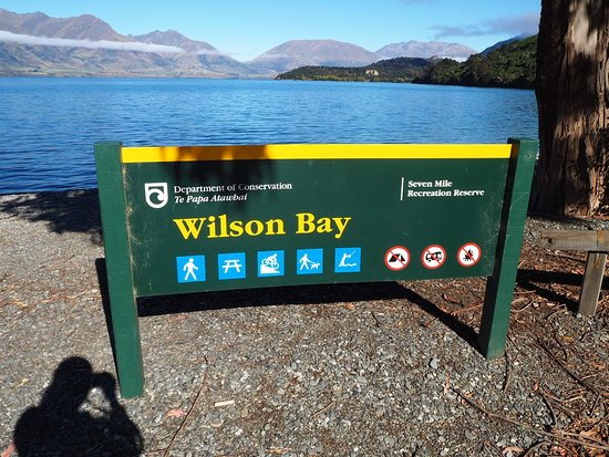 Wilson Bay Track