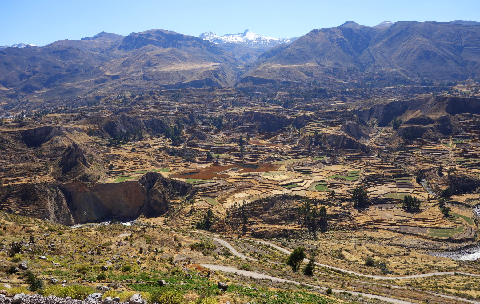 Colca Canyon