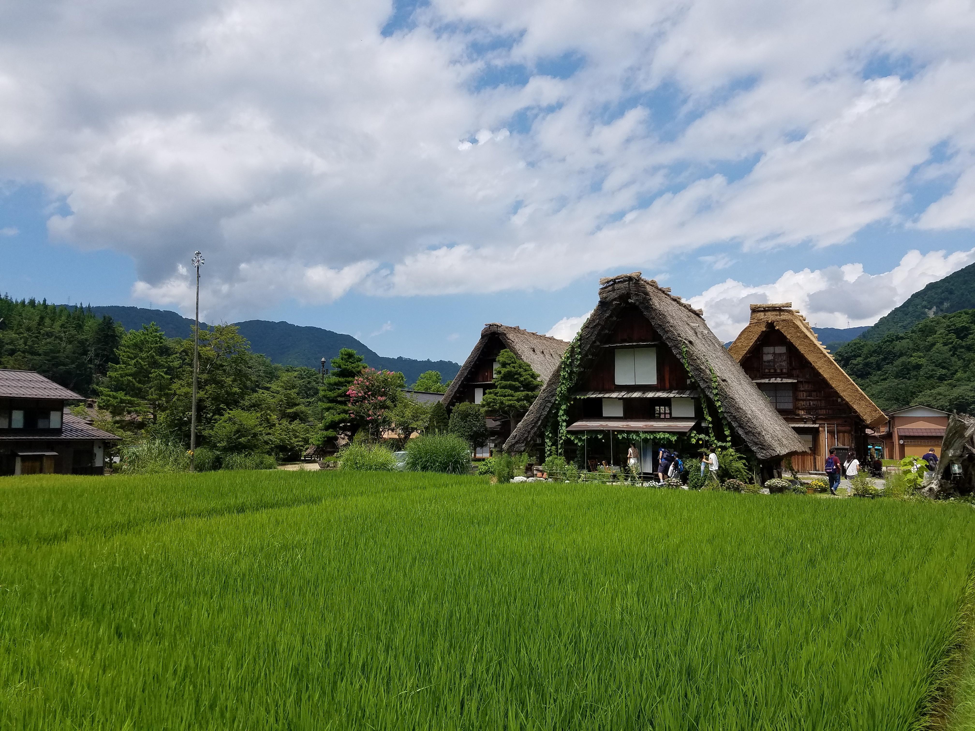 Shirakawa Flower World