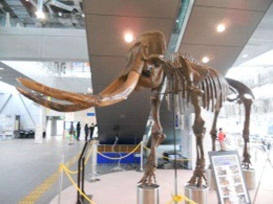 3M Sendai Science Museum