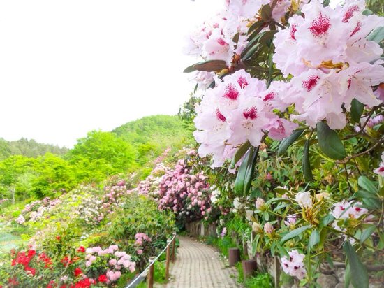 Izumi Botanical Garden
