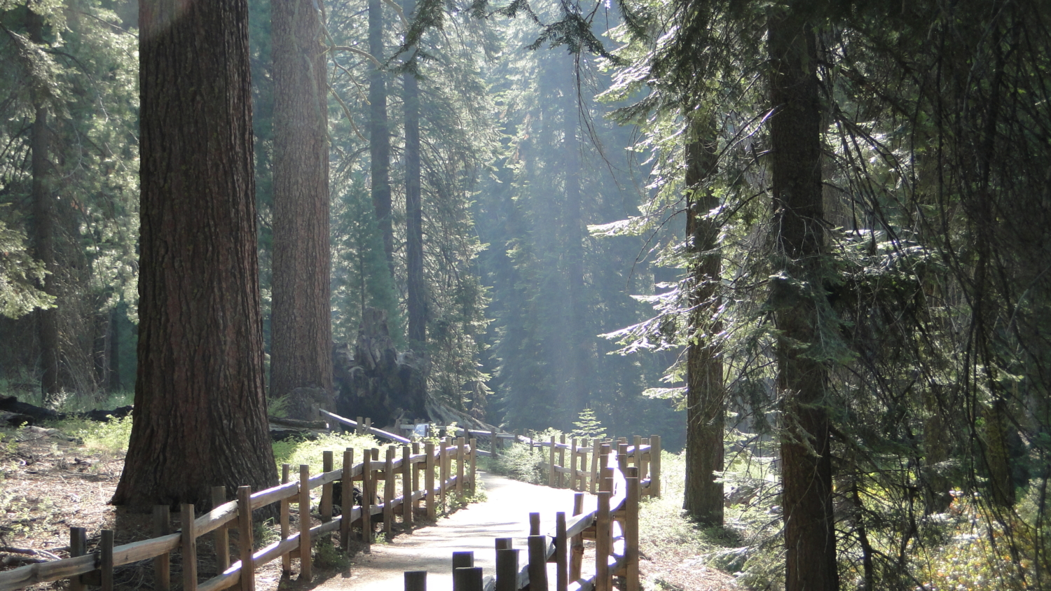 Lakes Trail in Sequoia National Park