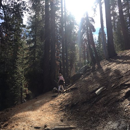 Weaver Lake Trail