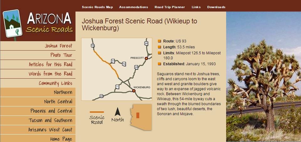 Joshua Forest Scenic Road