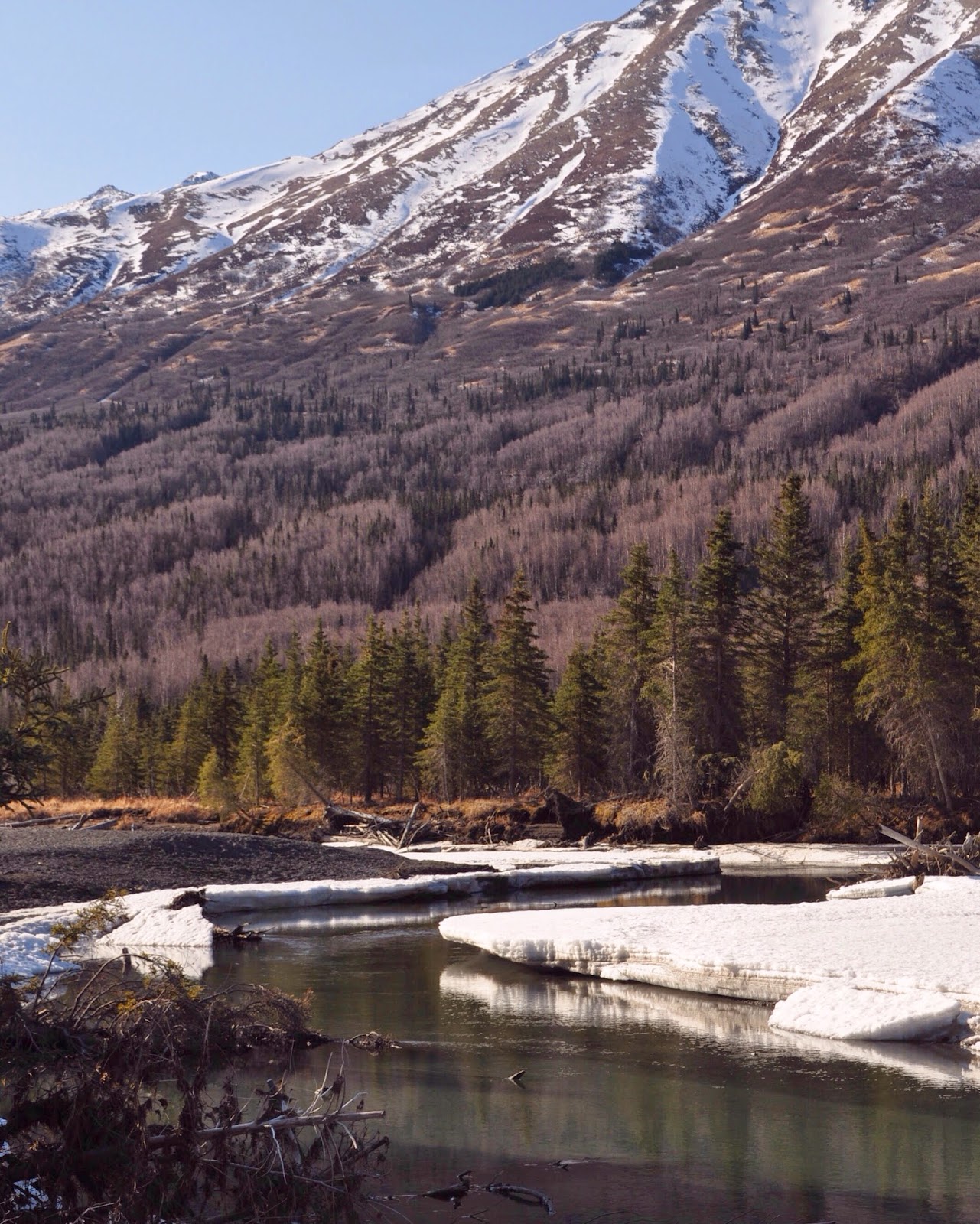 North Fork Eagle River