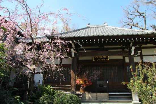 Banryu-ji Temple