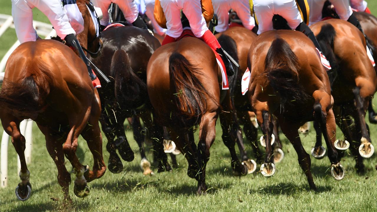 Melbourne Cup at the Orangery