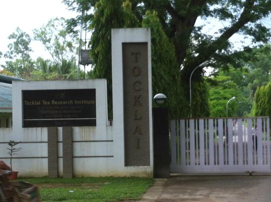 Tocklai Tea Research Centre