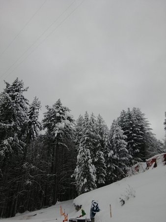 Outdoor Pictures 1