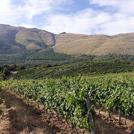 Azienda Agricola Donna Clara