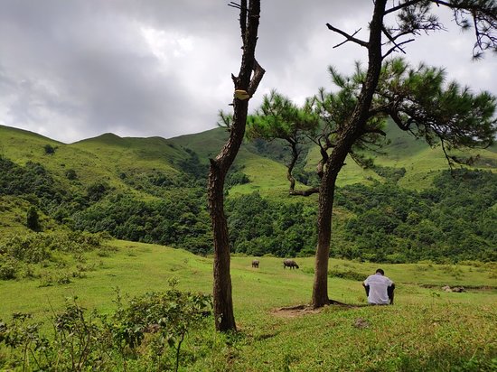 Maoming Tianma Mountain