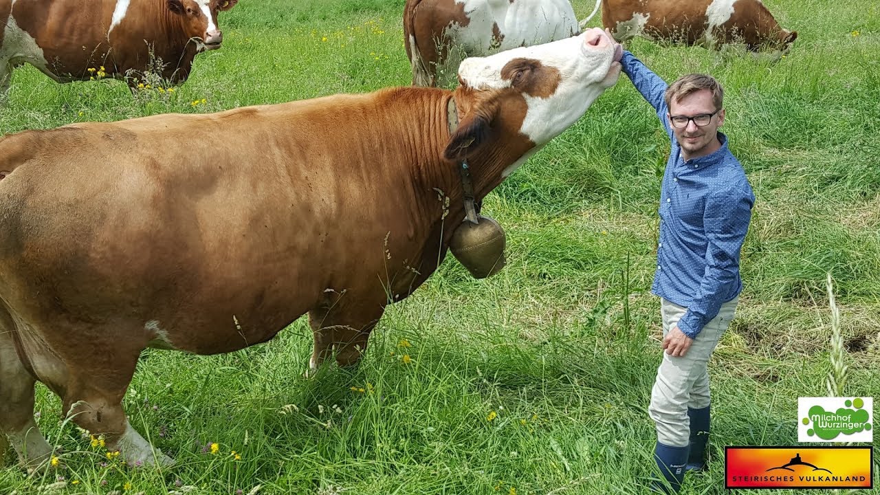 Milchhof Wurzinger