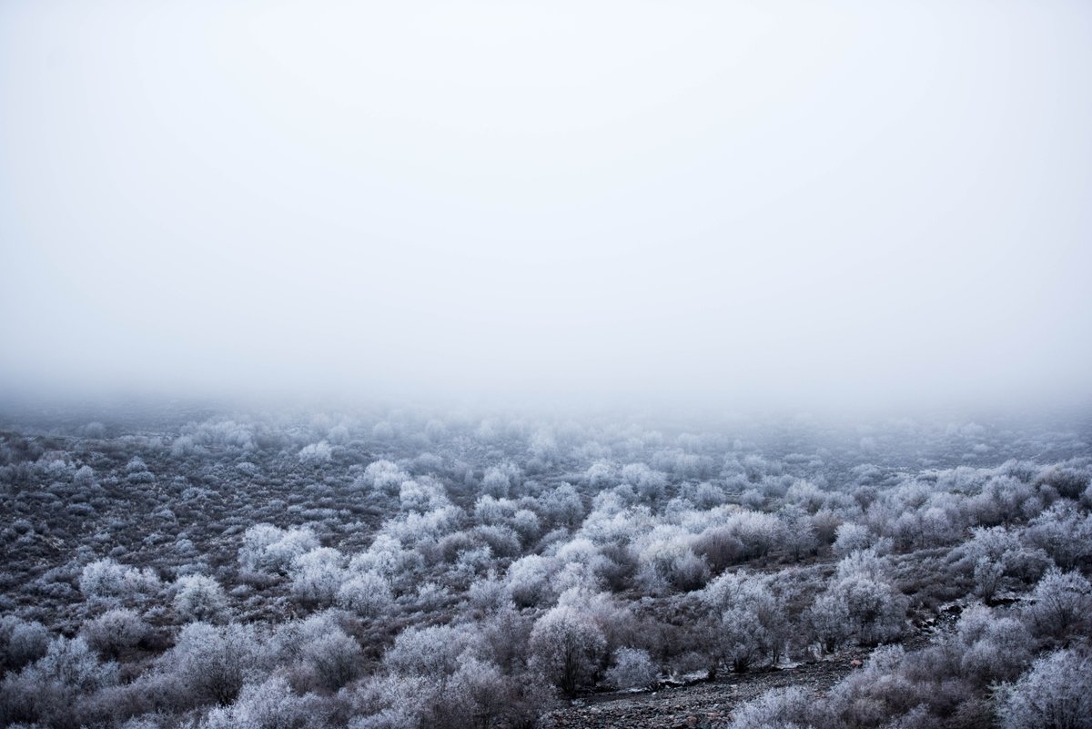 Qunjia National Forest Park
