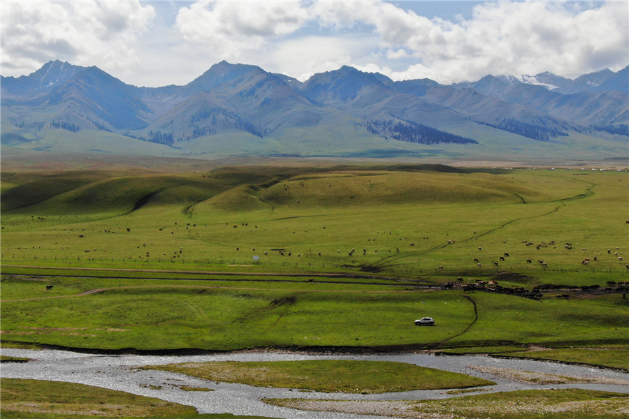Nalati Grassland