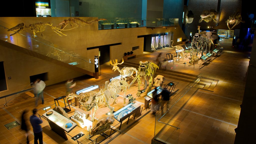 Museum of Mud Treatment History