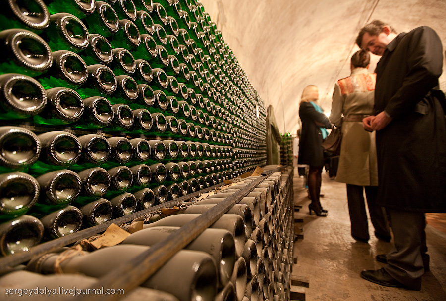 Factory Store Vinny Pogrebok