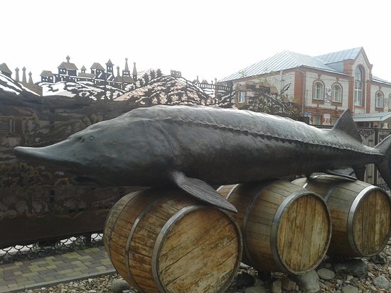 Monument to 960-kg Beluga Caught in the Volga River