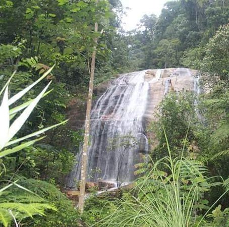 Taman Negeri Kenaboi