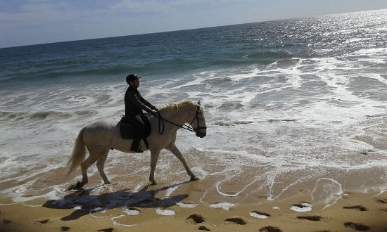 Clube Equestre A Palmeirinha