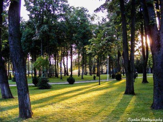 Parcul Copou