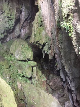 Daylight Hole Cave