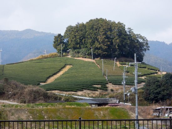 Asaka Shinno Tombs