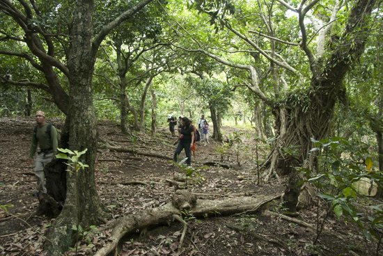 Turungan Cave