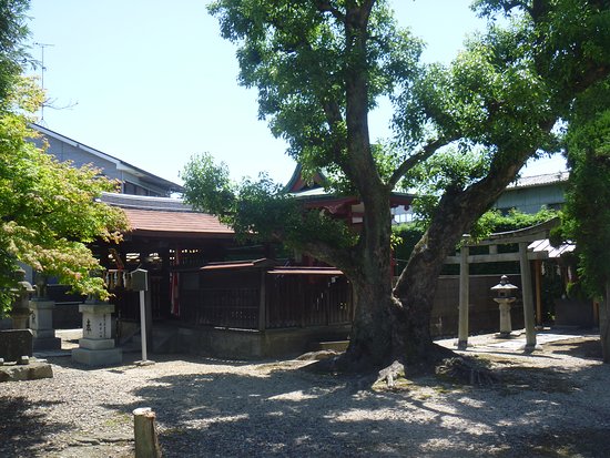 Tamaki Shrine