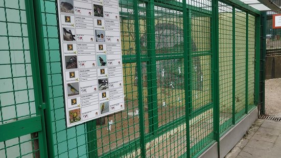 Parc de Roodebeek