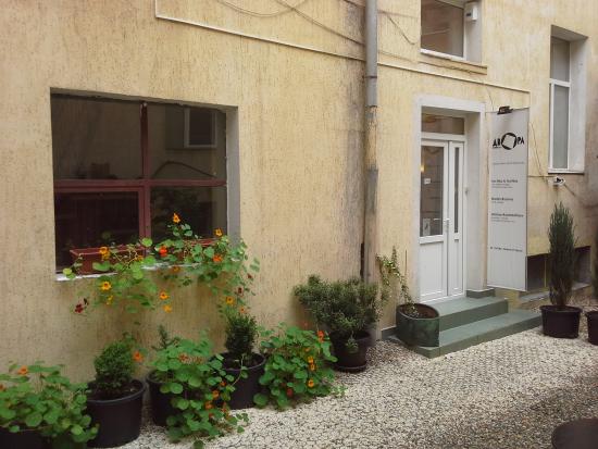 DVORA Shared Art Space