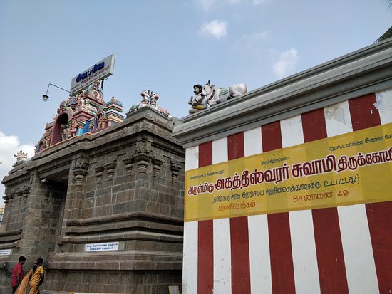 Vidya Cinema