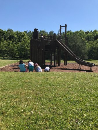 Outdoor Pictures 1