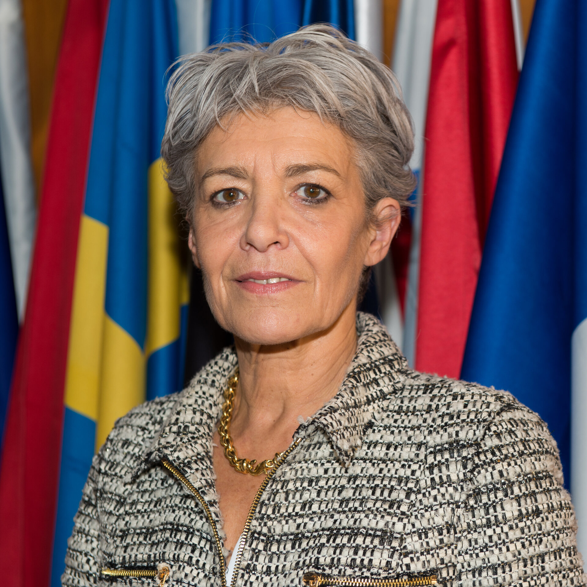 Fresque "Claudie Haigneré"