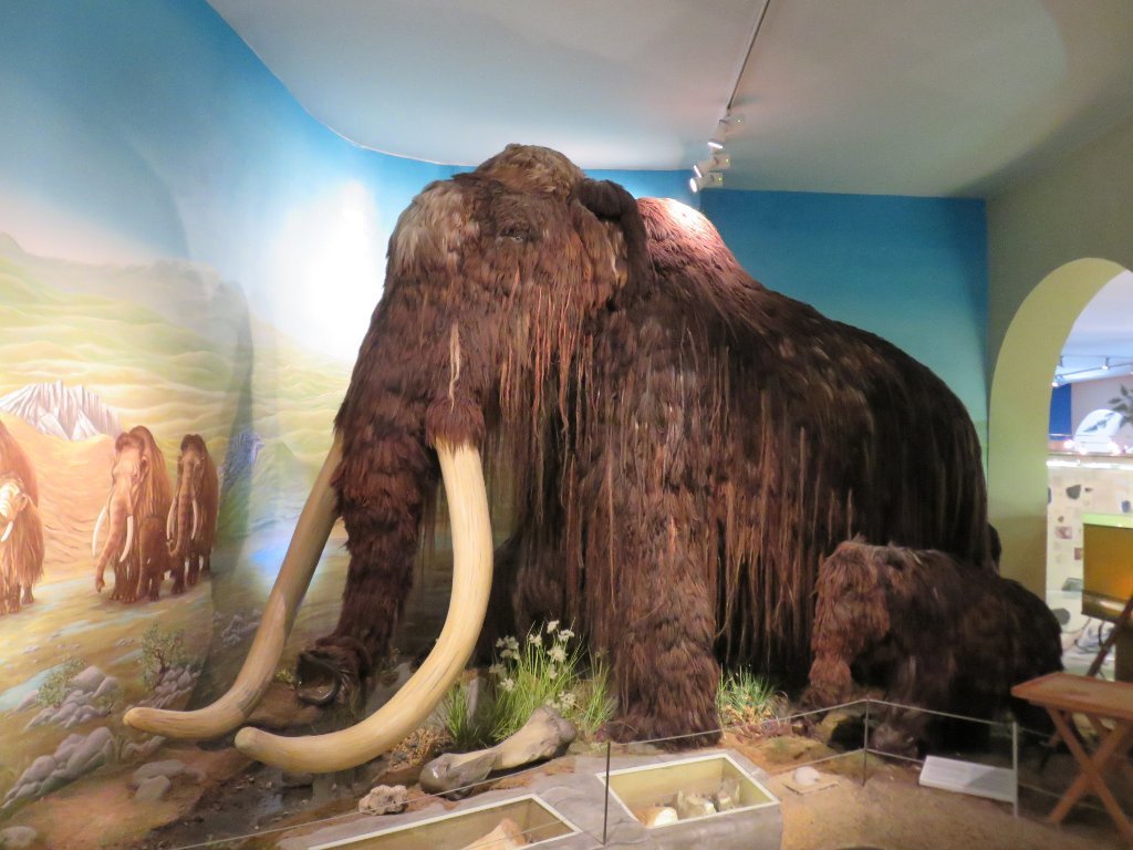 Naturkundemuseum im Ottoneum