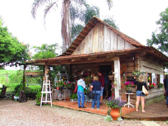Bolsol Iguacu Theater