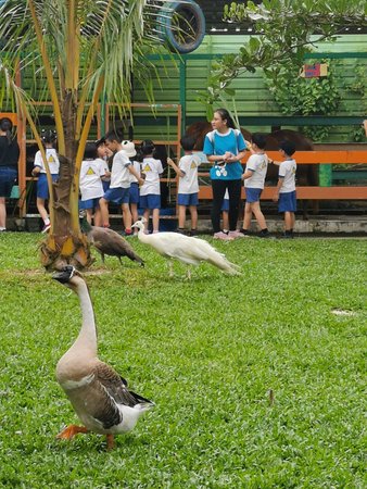 BSL Ecofarm
