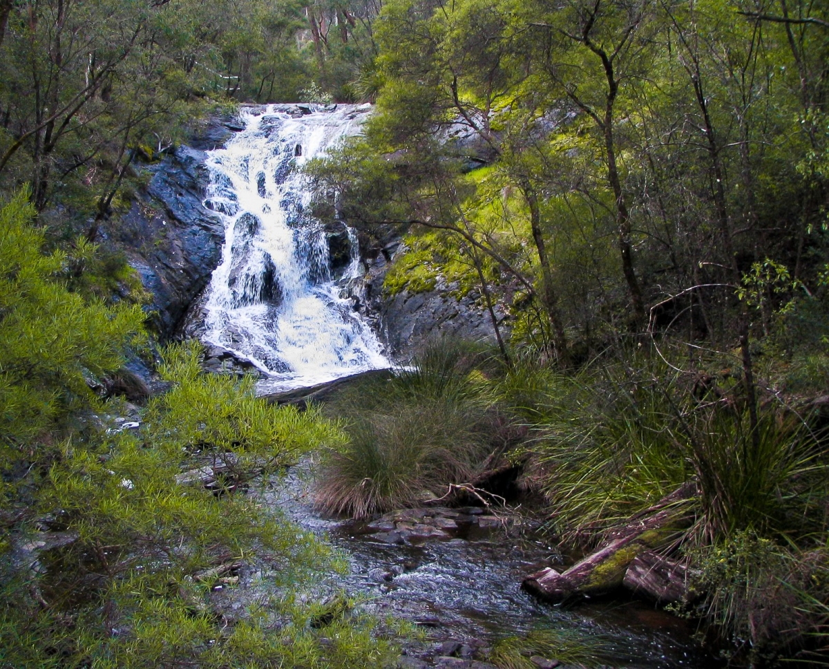 Bibbulmun Track