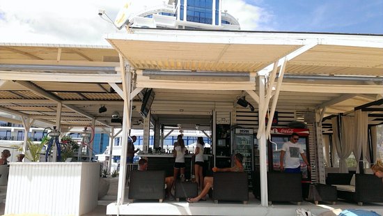 Beach Bar Seagull